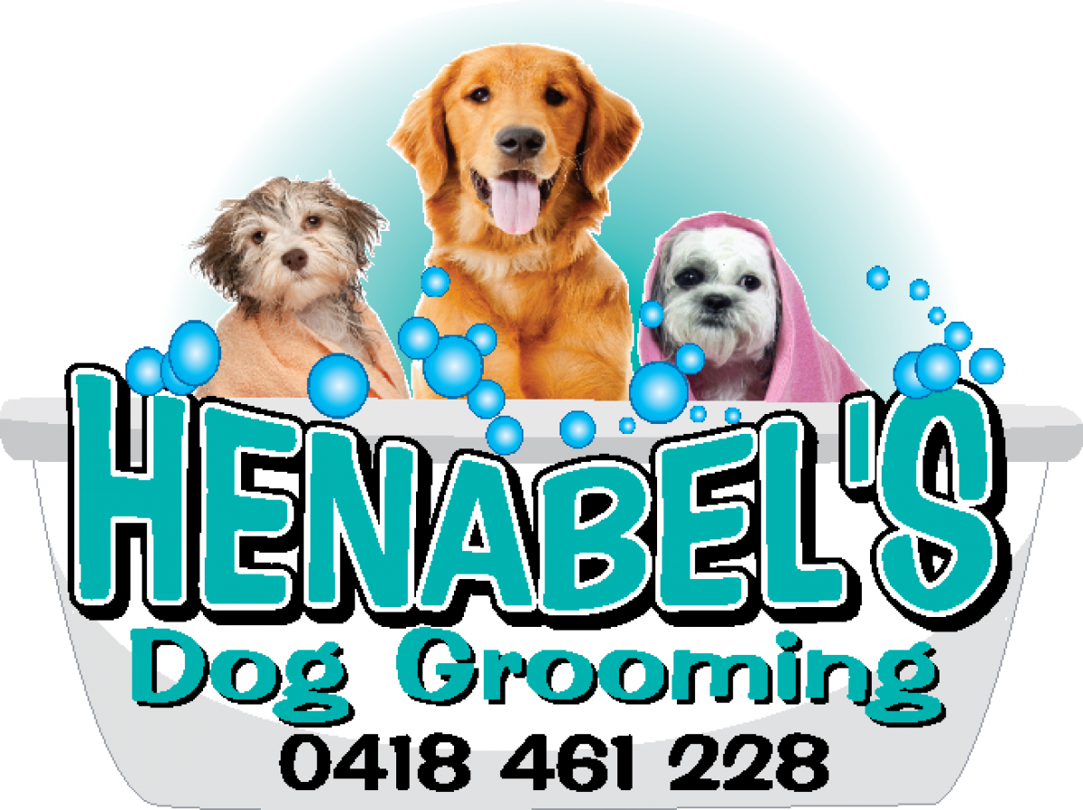 Mobile Dog Grooming in Perth for Pet Grooming Where and When You Need It