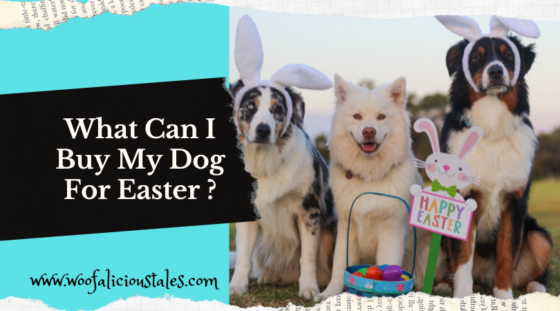 Easter hats for dogs sale